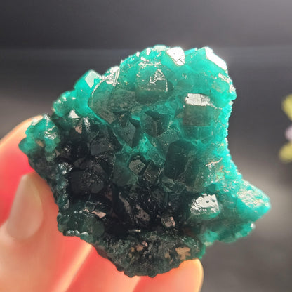 Dioptase Specimen from Congo 42.39g