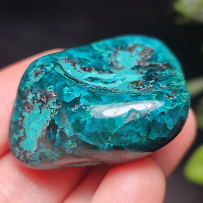 Polished Dioptase Crystal from the Congo 33.76g, Congo Dioptase Specimen, DRC Dioptase Crystal