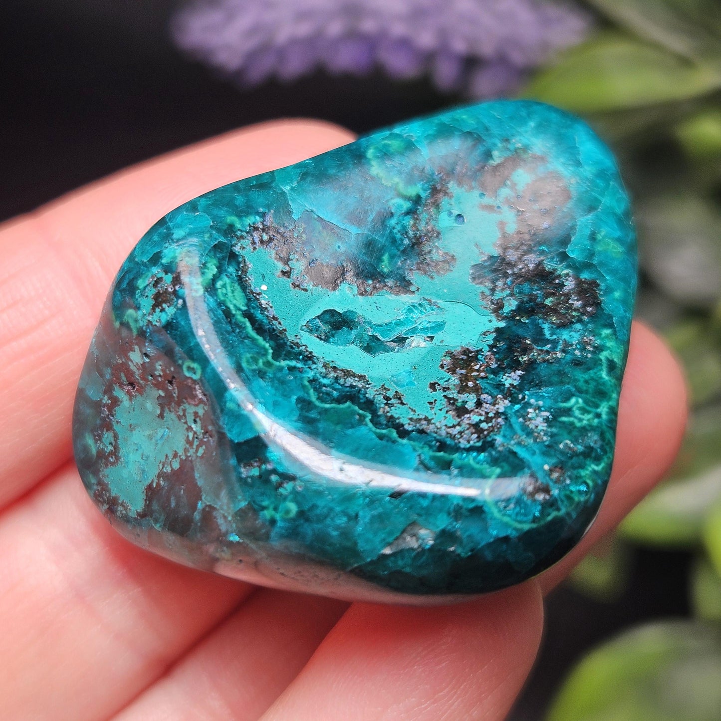Polished Dioptase Crystal from the Congo 33.76g, Congo Dioptase Specimen, DRC Dioptase Crystal