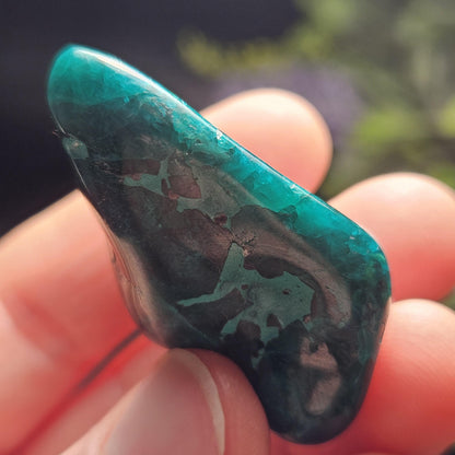 Polished Dioptase Crystal from the Congo 33.76g, Congo Dioptase Specimen, DRC Dioptase Crystal