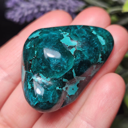 Polished Dioptase Crystal from the Congo 33.76g, Congo Dioptase Specimen, DRC Dioptase Crystal