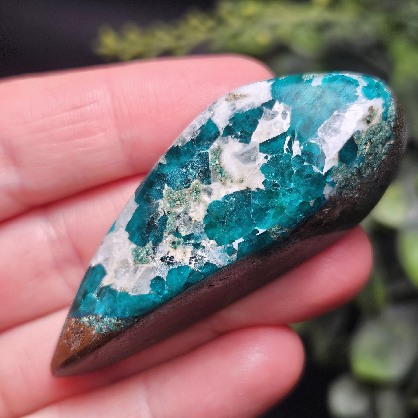 Polished Dioptase in Quartz Crystal 35.88g, Congo Dioptase Specimen, DRC Dioptase Crystal