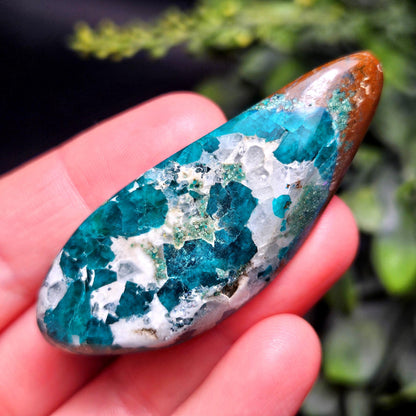Polished Dioptase in Quartz Crystal 35.88g, Congo Dioptase Specimen, DRC Dioptase Crystal