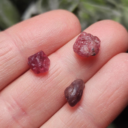 UV Reactive Spinel (Set of 3 crystals), Red Spinel, Pink Spinel, Purple Spinel, Raw Spinel Crystal, Spinel Lot from Madagascar