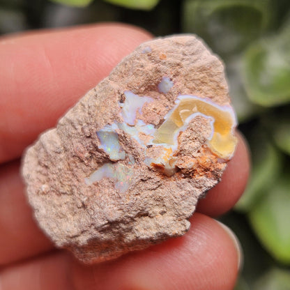 Mexican Fire Opal Crystal, Raw Fire Opal, Rough Specimen