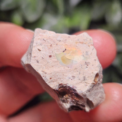 Mexican Fire Opal Crystal, Raw Fire Opal, Rough Specimen
