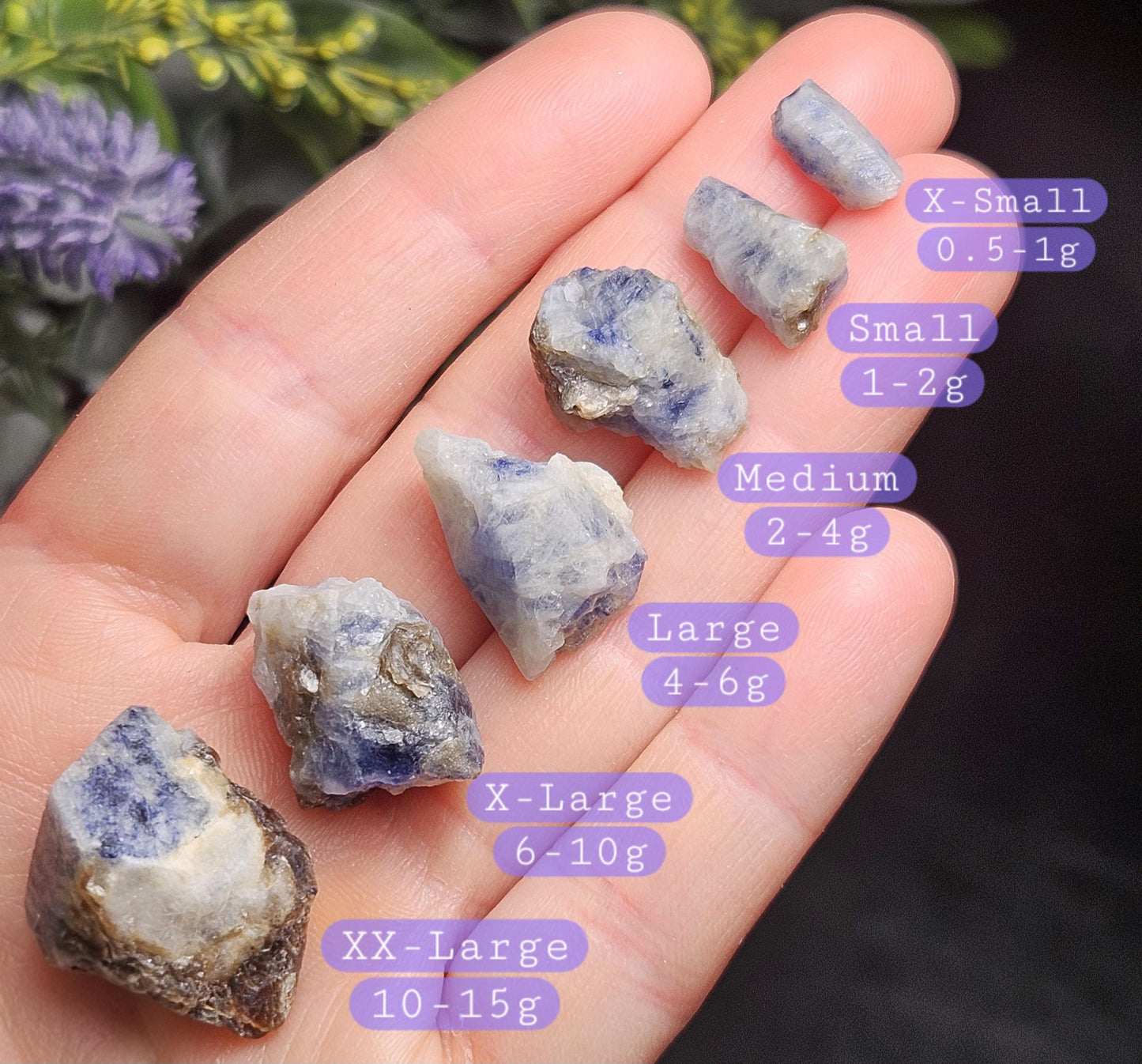 Natural Himalayan Sapphire Crystals from Badakhshan, Color Zoning Sapphire, Raw Blue Sapphire Stone