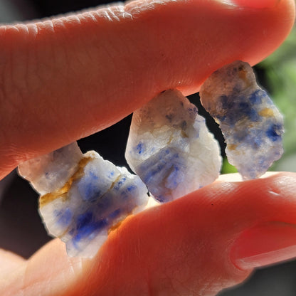 Natural Himalayan Sapphire Crystals from Badakhshan, Color Zoning Sapphire, Raw Blue Sapphire Stone