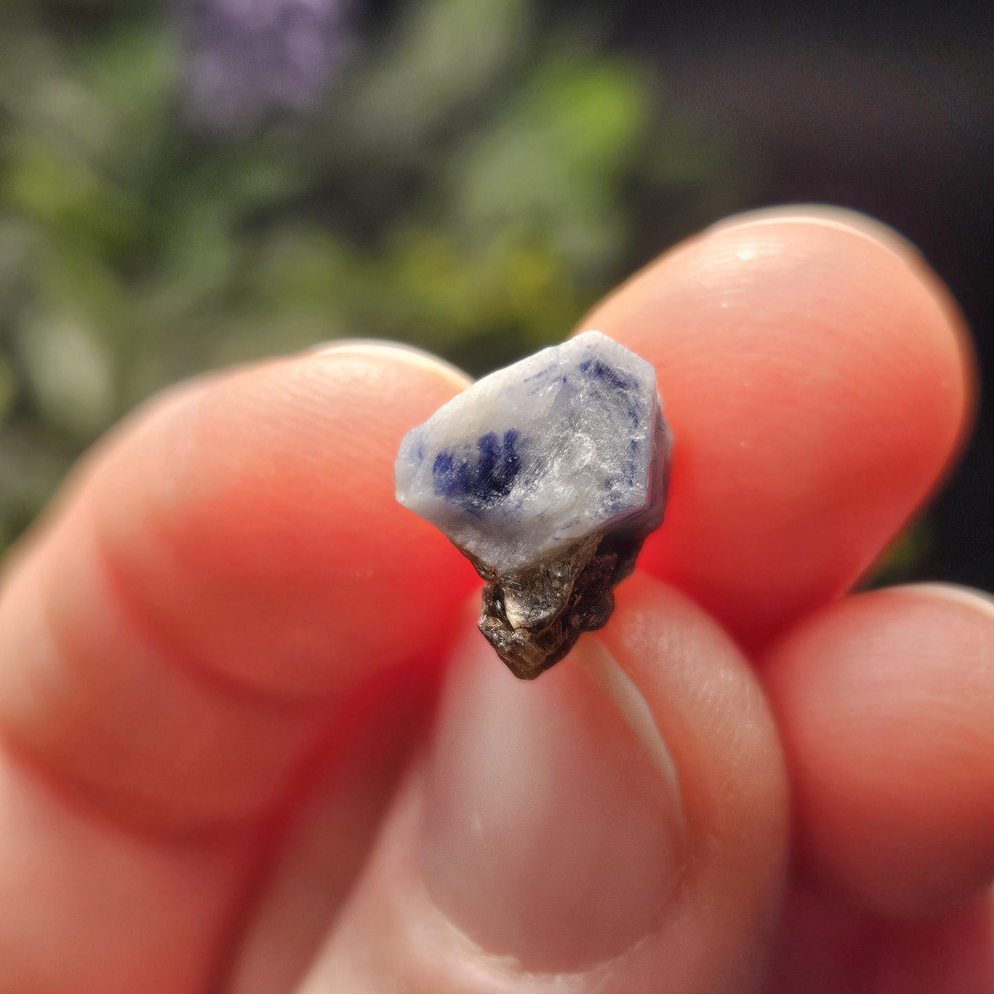 Natural Himalayan Sapphire Crystals from Badakhshan, Color Zoning Sapphire, Raw Blue Sapphire Stone