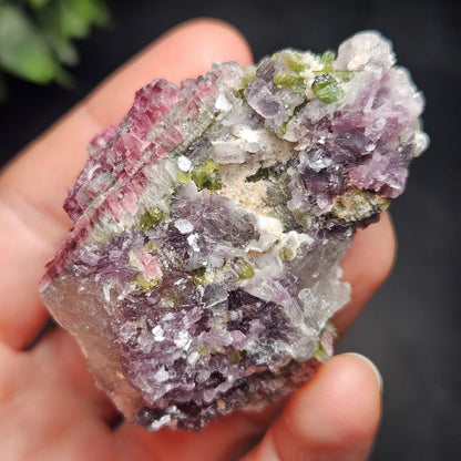 Watermelon Tourmaline in Lepidolite & Quartz from Brazil 73.28g, Pink Tourmaline, Raw Green Tourmaline Specimen, Lepidolite Crystal