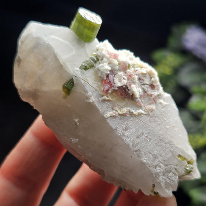Green & Pink Tourmaline in Quartz Crystal 94.10g, Brazilian Quartz with Tourmaline, Pink Tourmaline Specimen, Watermelon Tourmaline Crystal