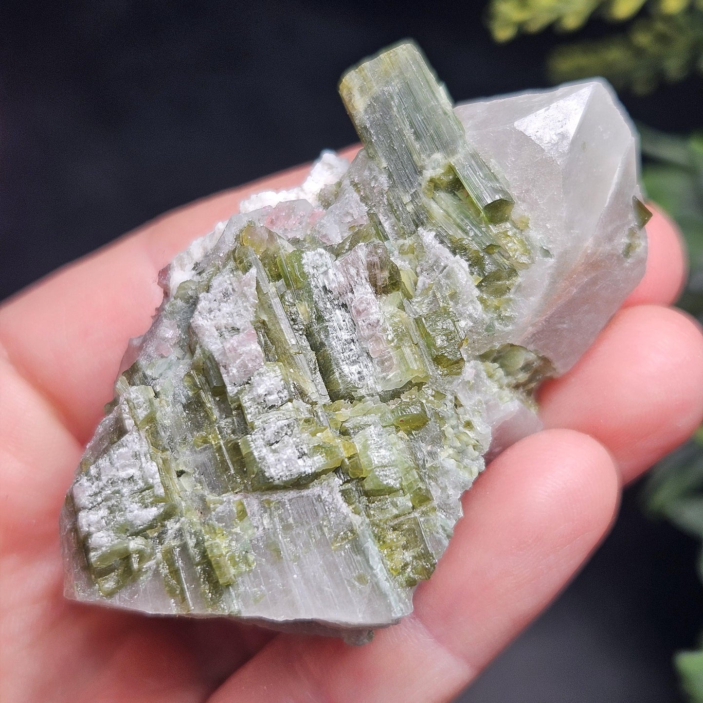 Green & Pink Tourmaline in Quartz Crystal 94.10g, Brazilian Quartz with Tourmaline, Pink Tourmaline Specimen, Watermelon Tourmaline Crystal