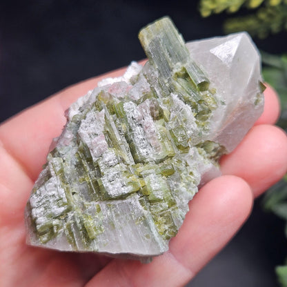 Green & Pink Tourmaline in Quartz Crystal 94.10g, Brazilian Quartz with Tourmaline, Pink Tourmaline Specimen, Watermelon Tourmaline Crystal