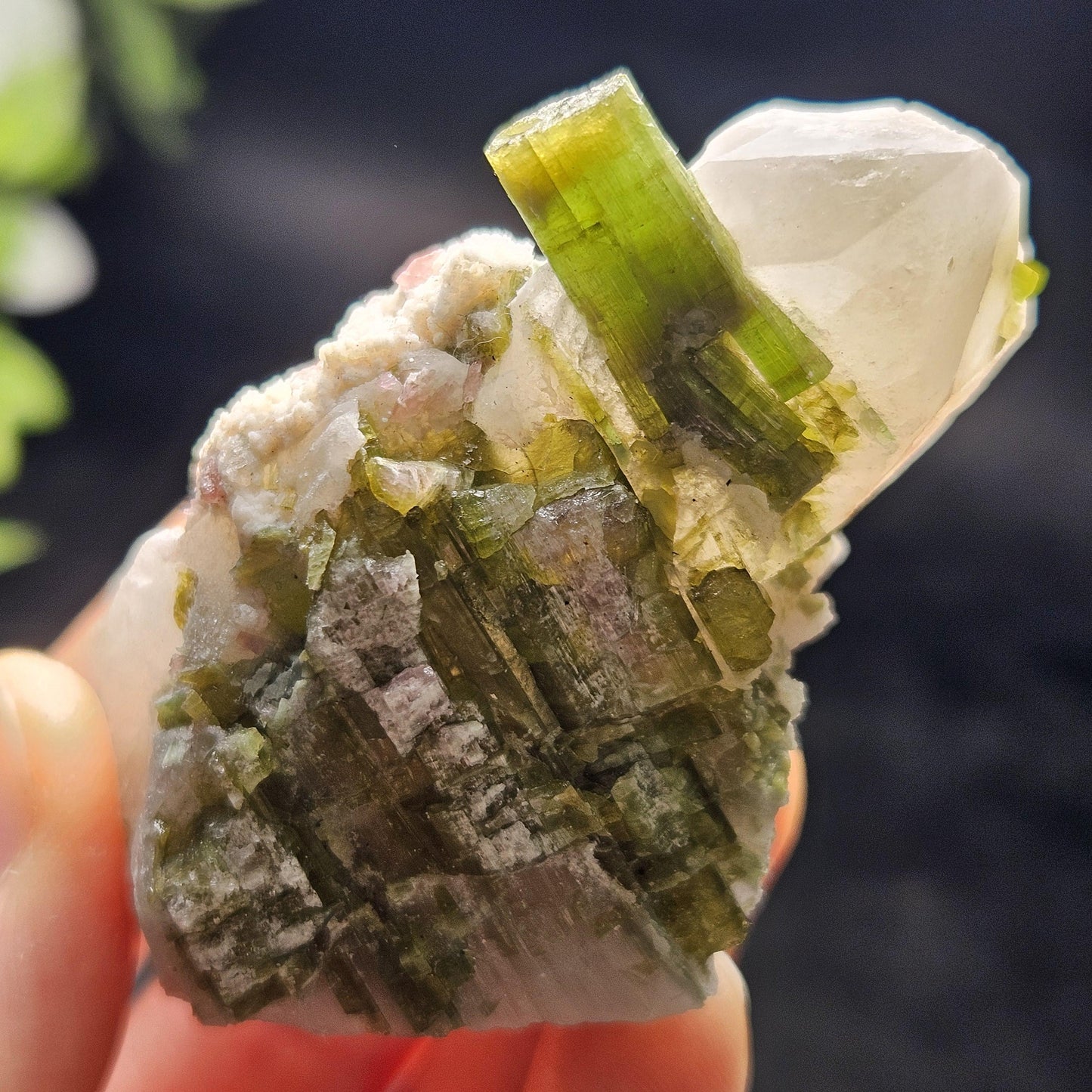 Green & Pink Tourmaline in Quartz Crystal 94.10g, Brazilian Quartz with Tourmaline, Pink Tourmaline Specimen, Watermelon Tourmaline Crystal