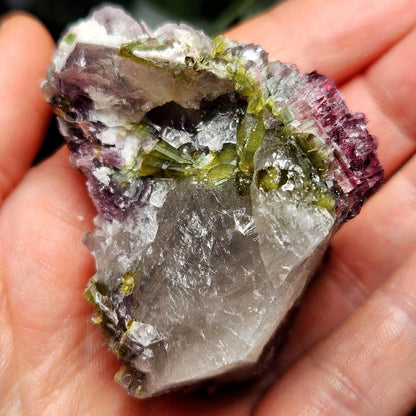 Watermelon Tourmaline in Lepidolite & Quartz from Brazil 73.28g, Pink Tourmaline, Raw Green Tourmaline Specimen, Lepidolite Crystal