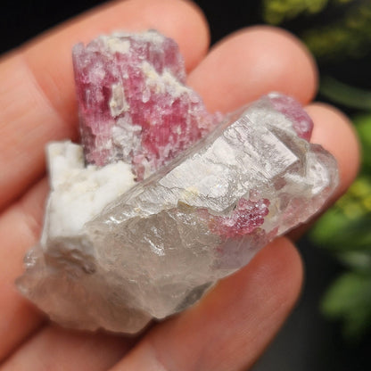 Pink Tourmaline in Quartz from Brazil 29.36g, Blue & Black Raw Brazilian Tourmaline Specimen, Pink Tourmaline Crystal