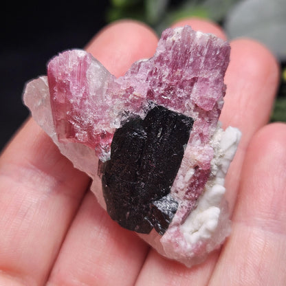 Pink Tourmaline in Quartz from Brazil 29.36g, Blue & Black Raw Brazilian Tourmaline Specimen, Pink Tourmaline Crystal
