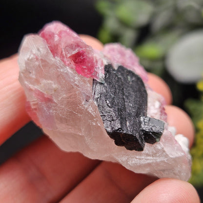 Pink Tourmaline in Quartz from Brazil 29.36g, Blue & Black Raw Brazilian Tourmaline Specimen, Pink Tourmaline Crystal