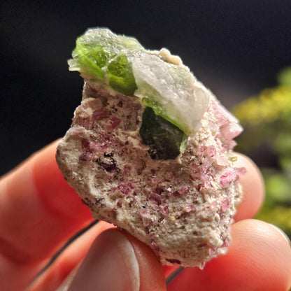 Green & Pink Tourmaline Crystal Specimen 4.96g, Brazilian Quartz with Tourmaline, Pink Tourmaline Specimen, Green Tourmaline Crystal