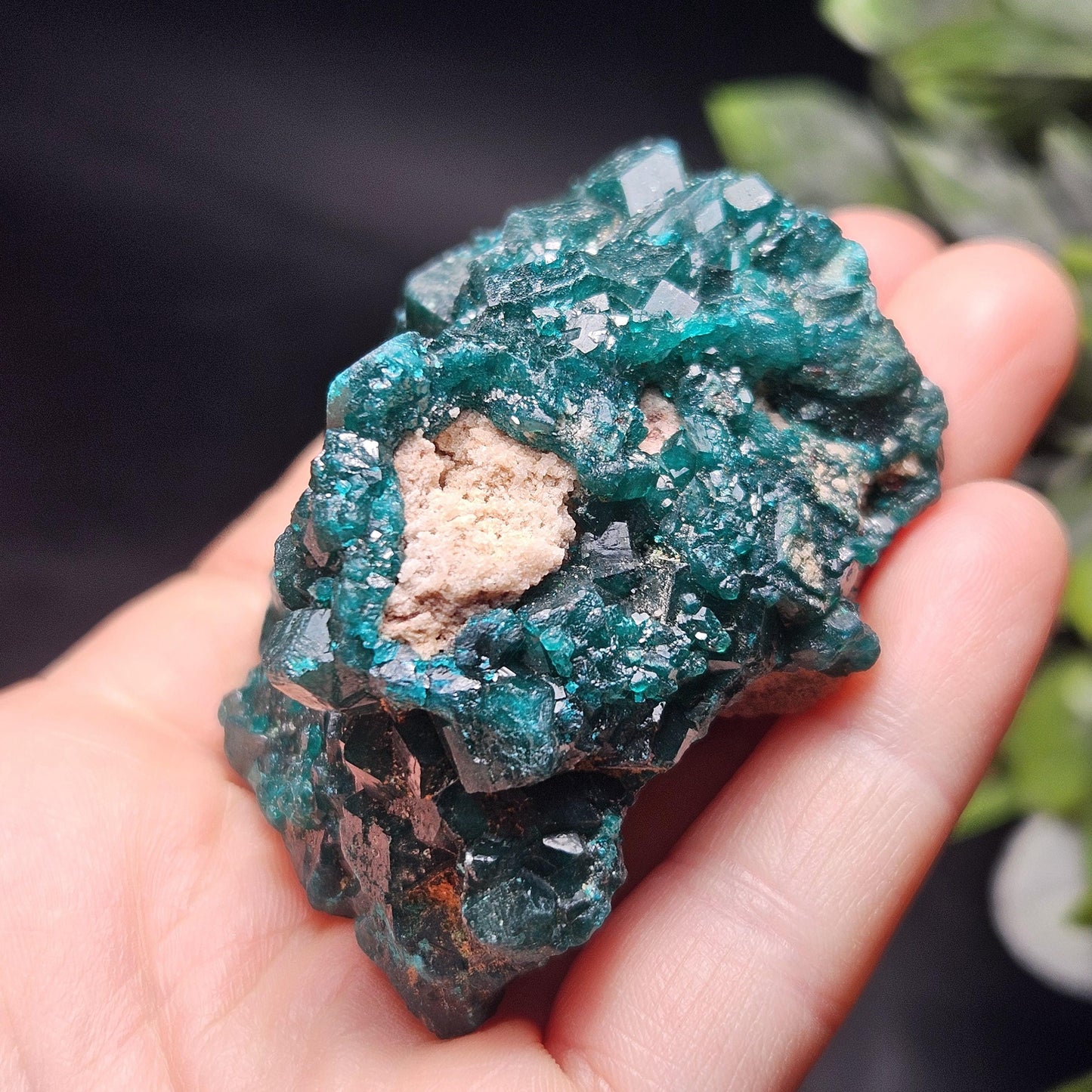 Dioptase Crystal Cluster from Congo 95.65g