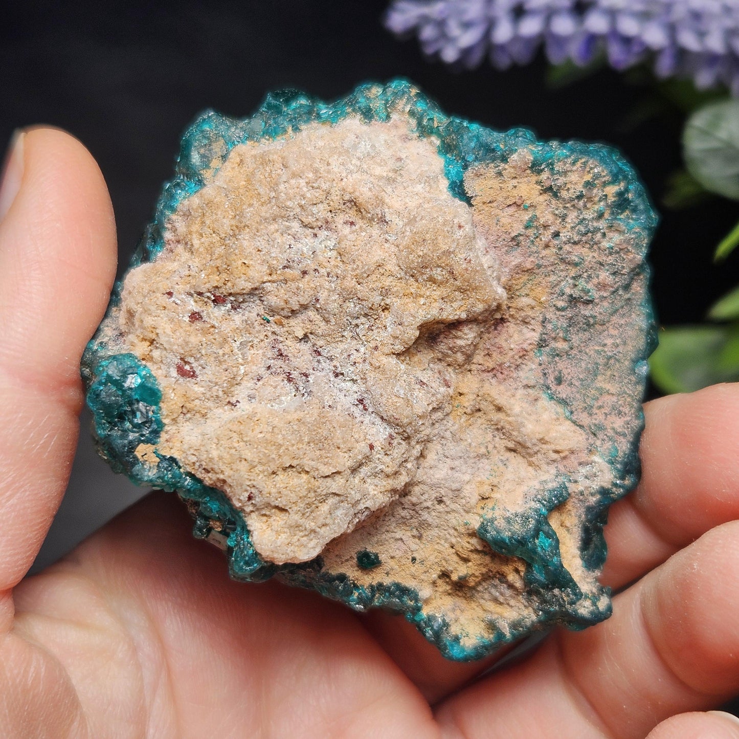 Dioptase Crystal Cluster from Congo 95.65g