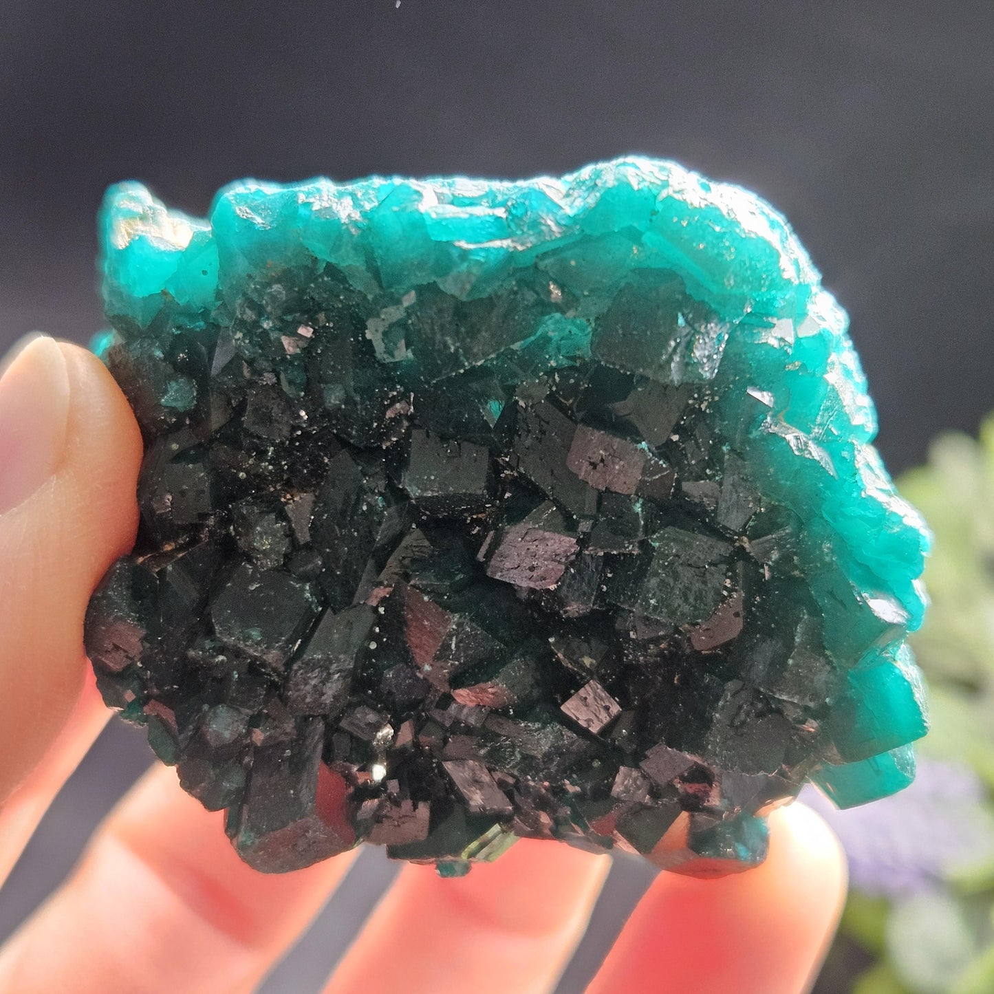 Dioptase Crystal Cluster from Congo 95.65g
