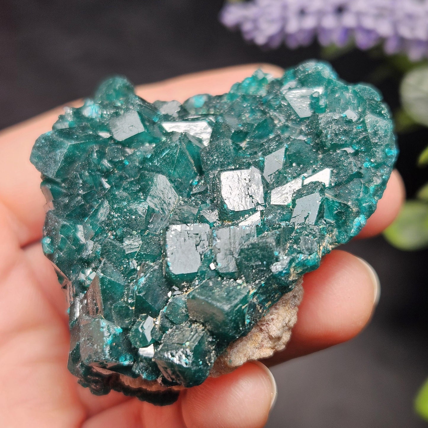 Dioptase Crystal Cluster from Congo 95.65g