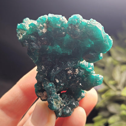 Dioptase Specimen from Congo 50.15g