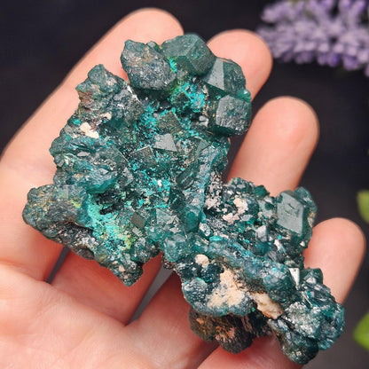 Dioptase Specimen from Congo 50.15g