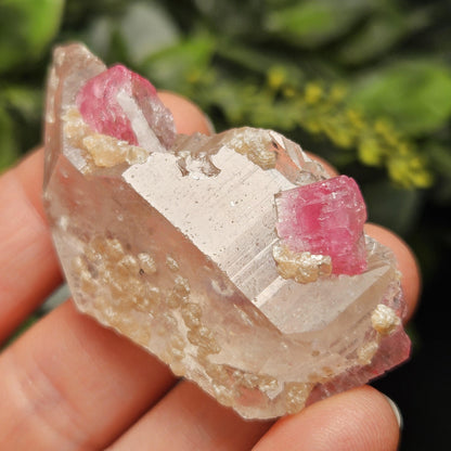 Bubblegum Pink Tourmaline in Quartz from Brazil 25.77g, Raw Brazilian Tourmaline Specimen, Pink Tourmaline Crystal