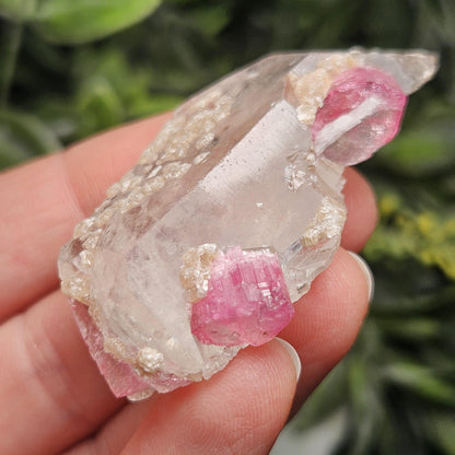 Bubblegum Pink Tourmaline in Quartz from Brazil 25.77g, Raw Brazilian Tourmaline Specimen, Pink Tourmaline Crystal
