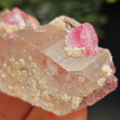Bubblegum Pink Tourmaline in Quartz from Brazil 25.77g, Raw Brazilian Tourmaline Specimen, Pink Tourmaline Crystal