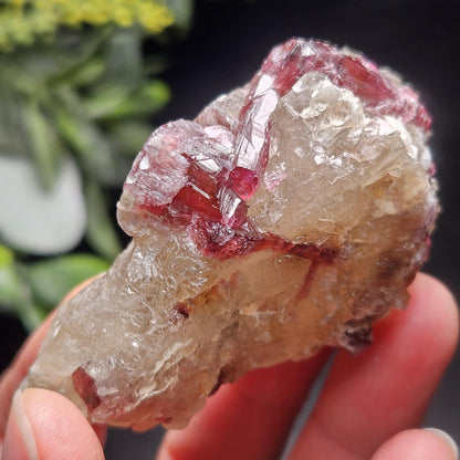 Watermelon Tourmaline on Quartz 74g