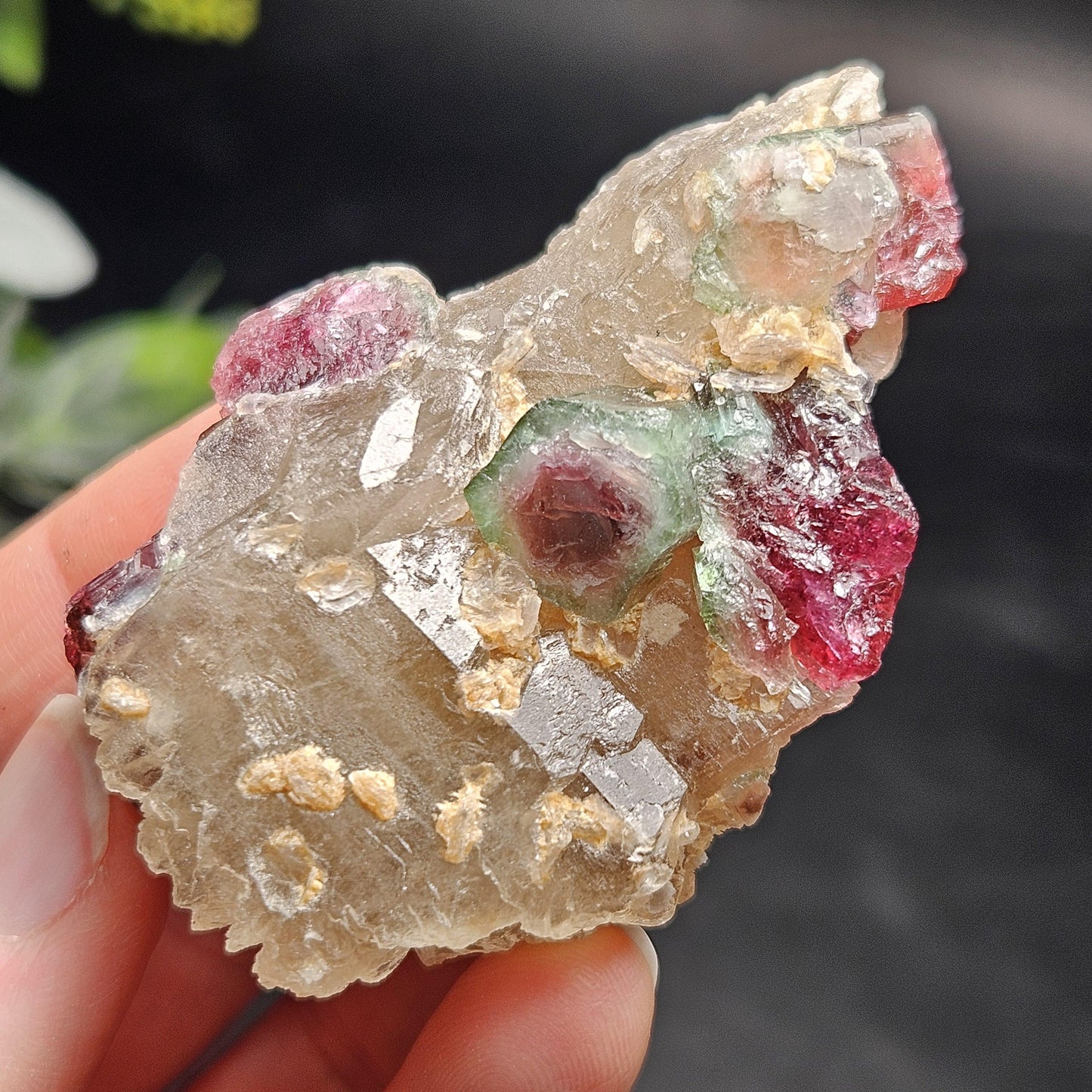 Watermelon Tourmaline on Quartz 74g