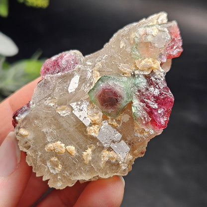 Watermelon Tourmaline on Quartz 74g