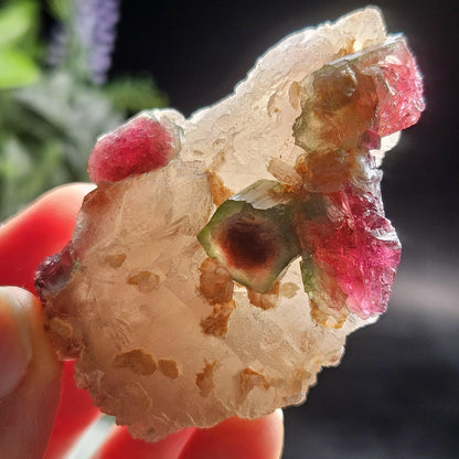 Watermelon Tourmaline on Quartz 74g