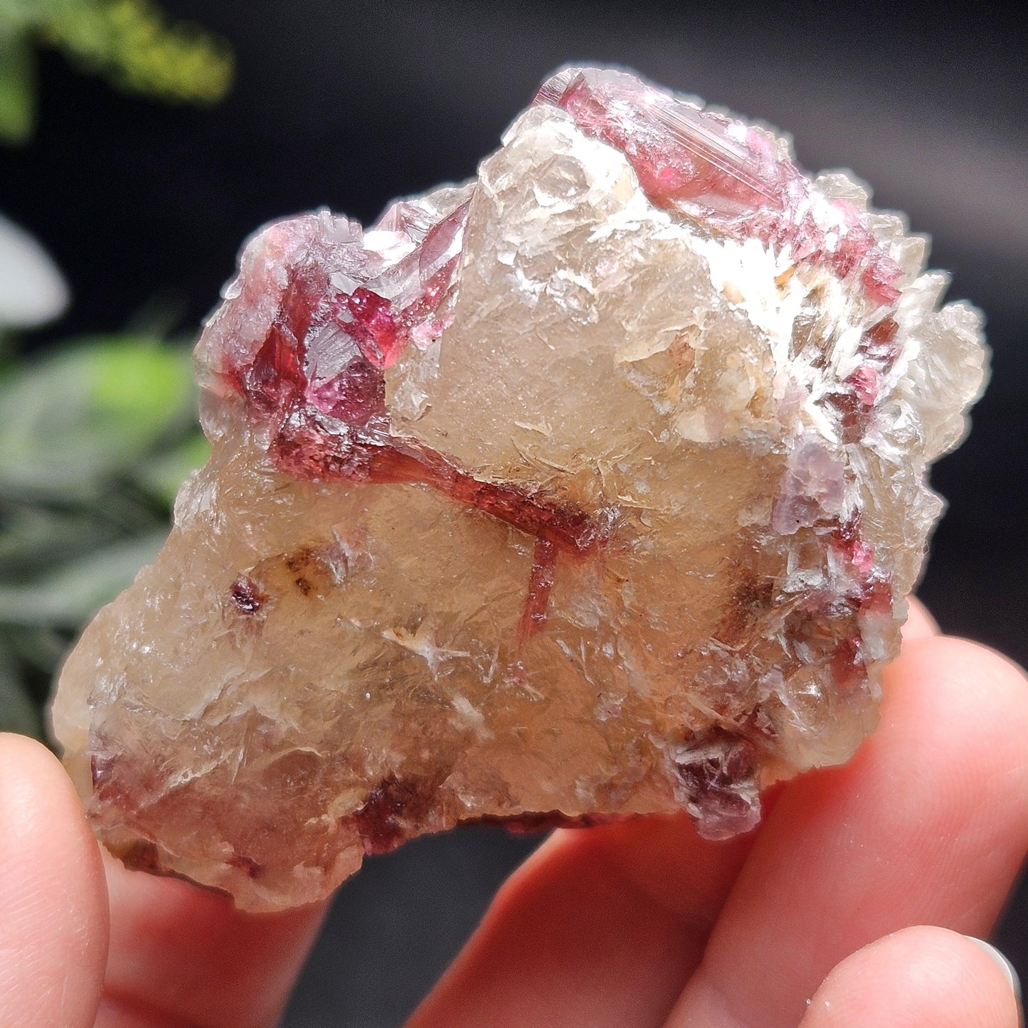 Watermelon Tourmaline on Quartz 74g