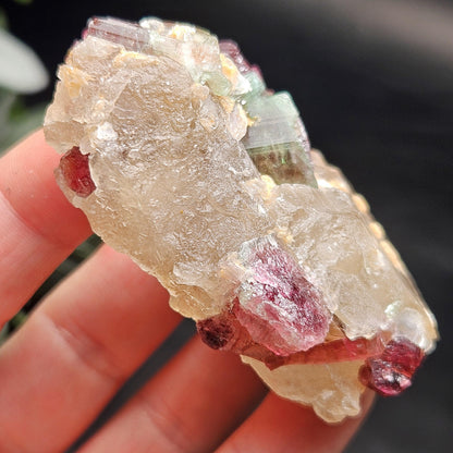 Watermelon Tourmaline on Quartz 74g