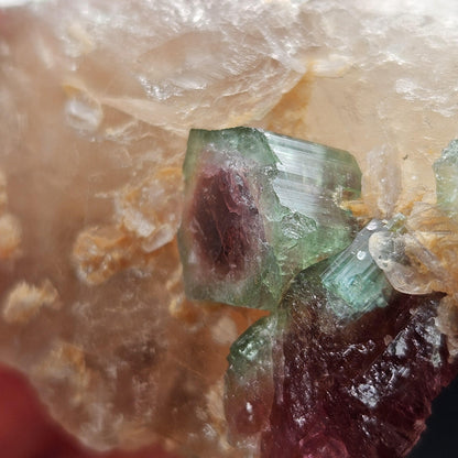 Watermelon Tourmaline on Quartz 74g