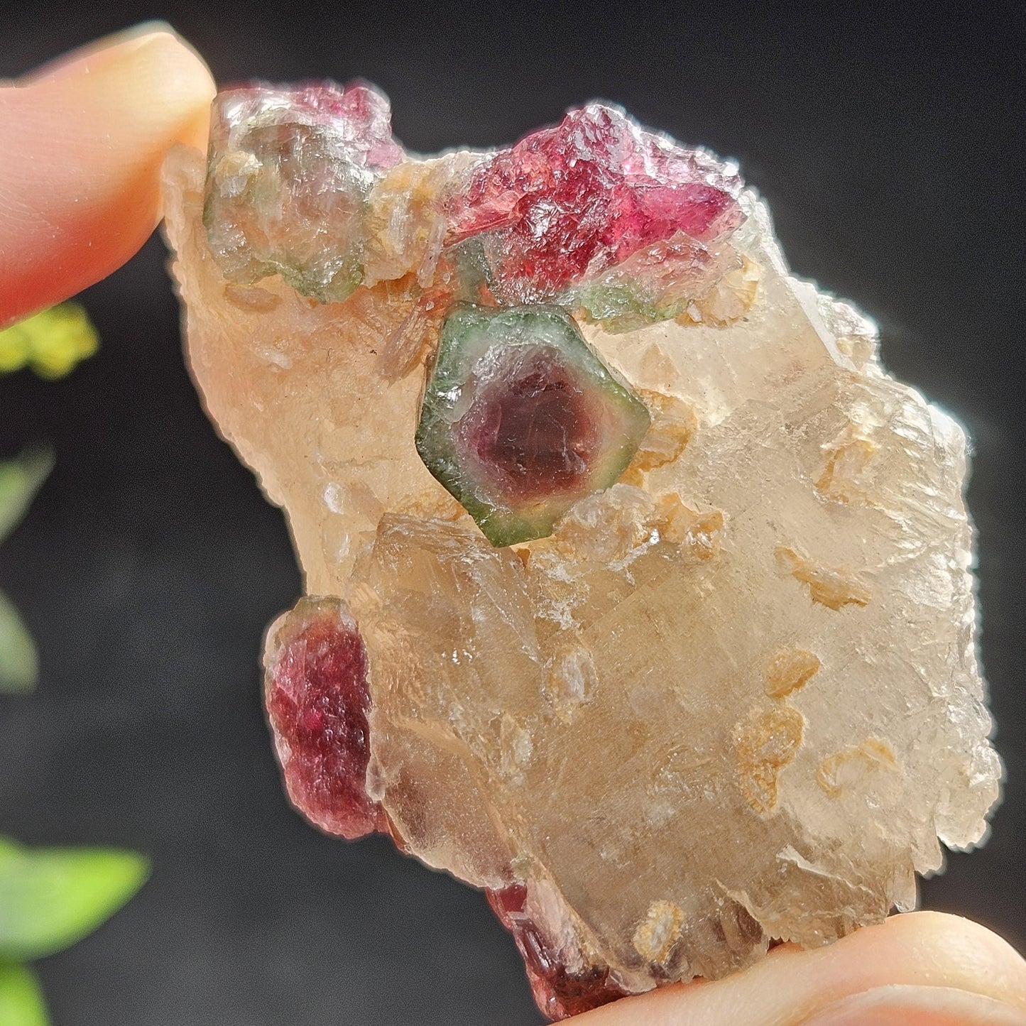 Watermelon Tourmaline on Quartz 74g