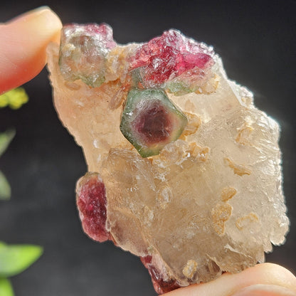 Watermelon Tourmaline on Quartz 74g
