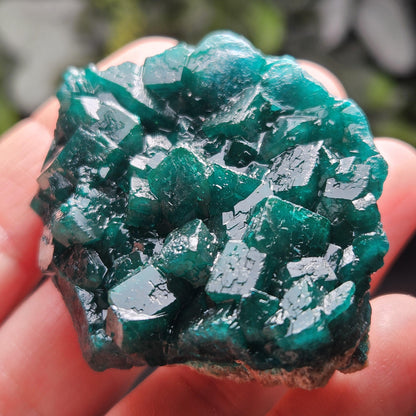 Dioptase Specimen from Congo 51g