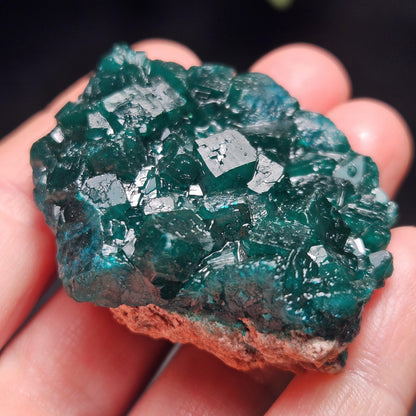 Dioptase Specimen from Congo 51g