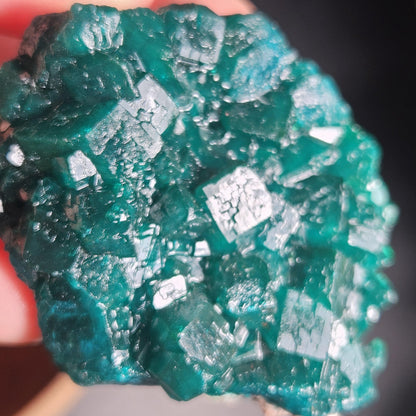 Dioptase Specimen from Congo 51g