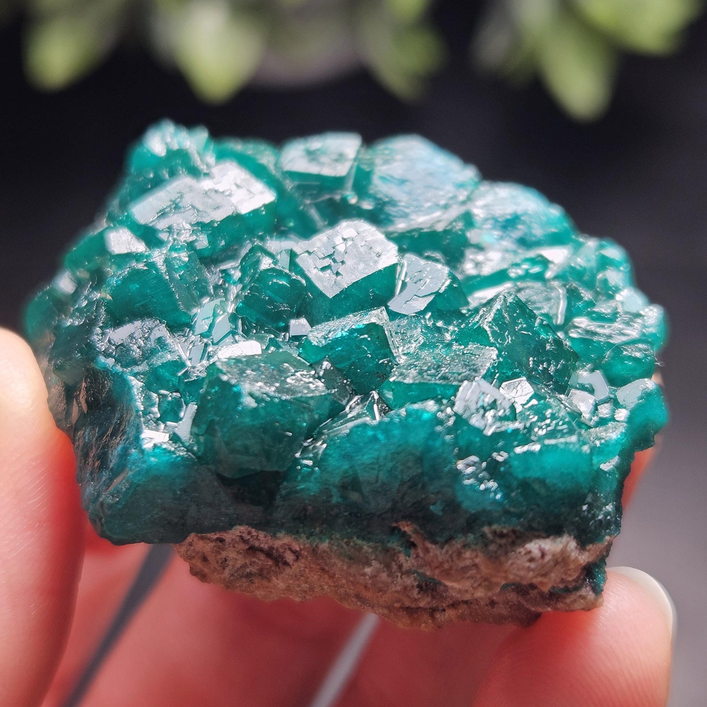 Dioptase Specimen from Congo 51g