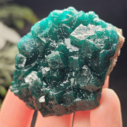 Dioptase Specimen from Congo 51g