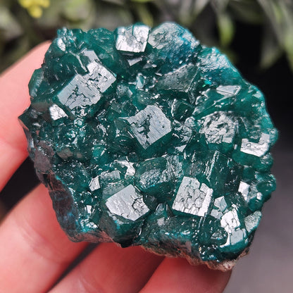 Dioptase Specimen from Congo 51g
