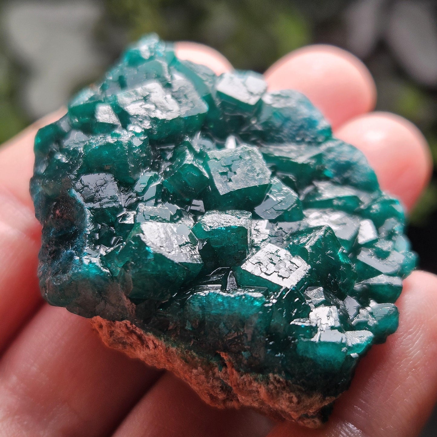 Dioptase Specimen from Congo 51g
