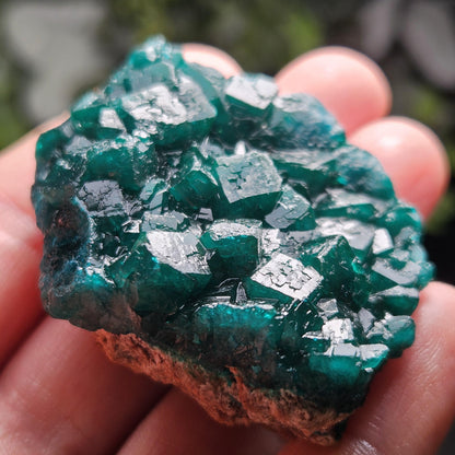 Dioptase Specimen from Congo 51g
