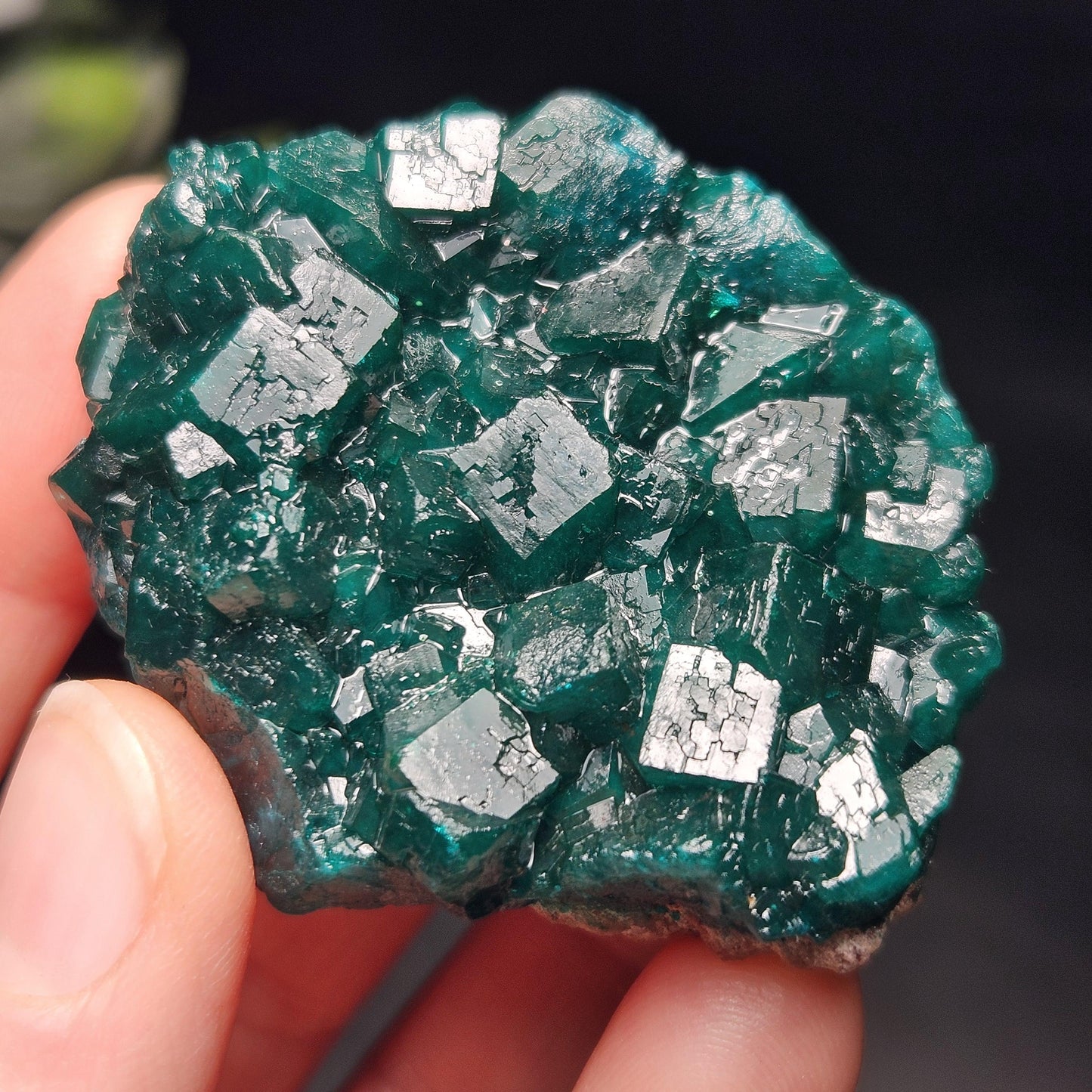 Dioptase Specimen from Congo 51g